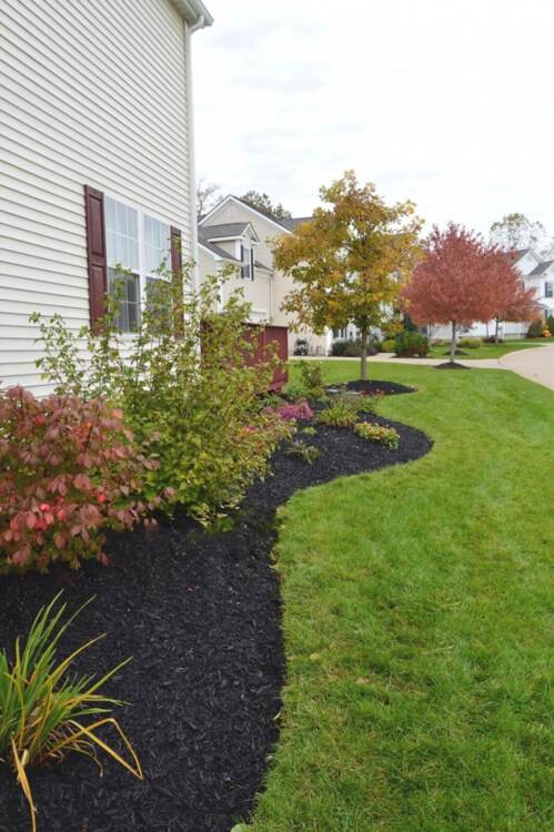 green lawn