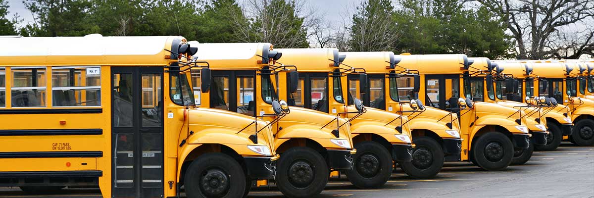 School buses 